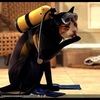 scubacat805